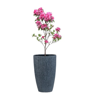 High Quality Popular Our Own Manufacturer Antique Flower Pot Natural Clay