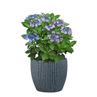 Our Own Manufacturer Most Trustworthy Manufacturer Popular Outdoor Planters Modern Flower Pot Price